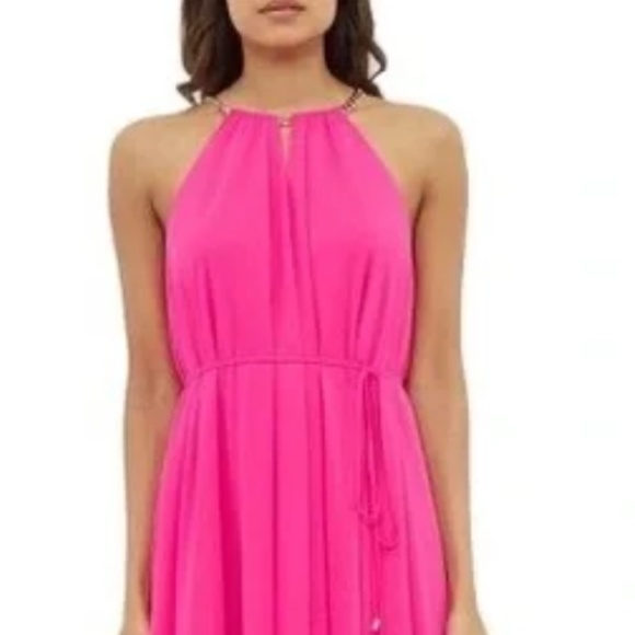 Ted Baker BARBIECORE! RARE: Ted Baker Harpah Fuchsia Maxi w/gold chain detail - Picture 4 of 4